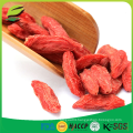 sell lycium barbarum goji berry from China to EU market